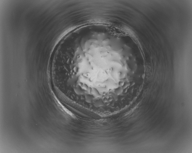X0000062801141200512290242