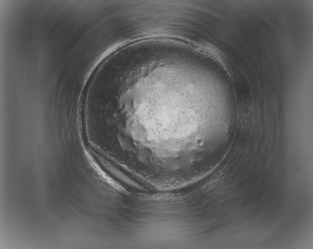 X0000062801142200512290242