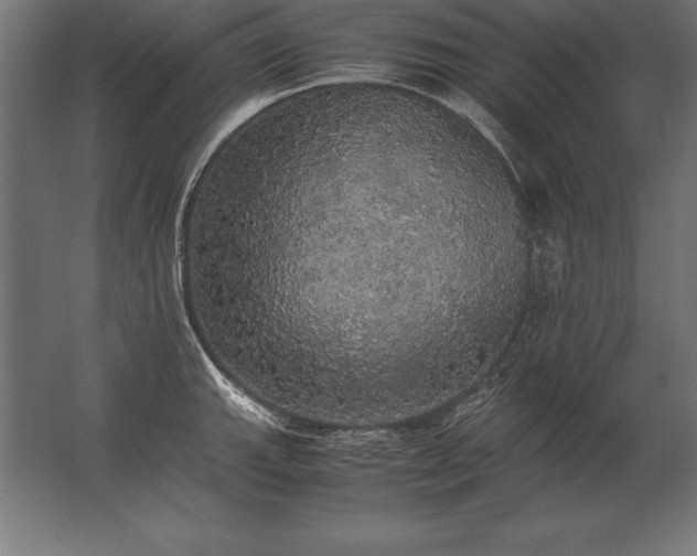 X0000062801143200512290242