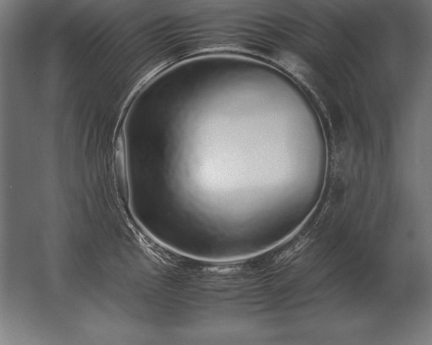 X0000062801145200512290242
