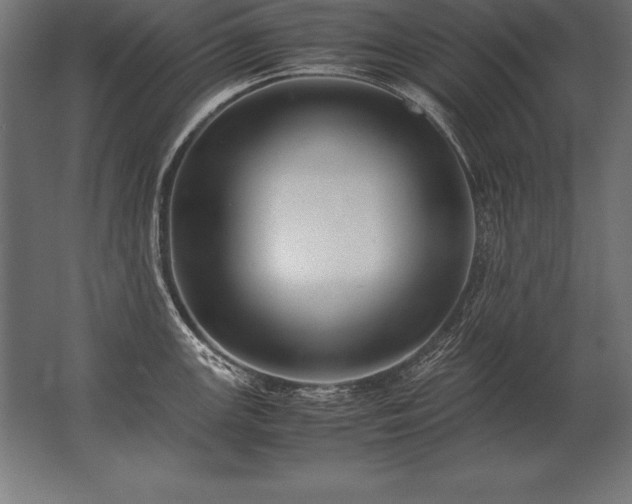 X0000062801147200512290242