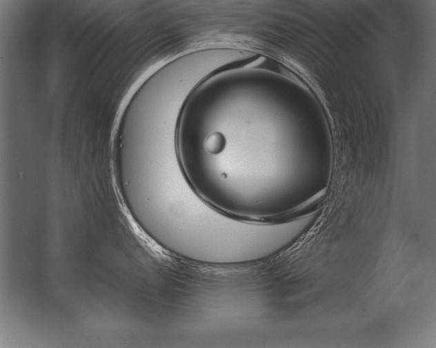 X0000062801152200512290242