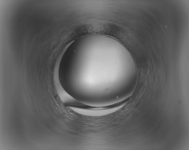 X0000062801153200512290241