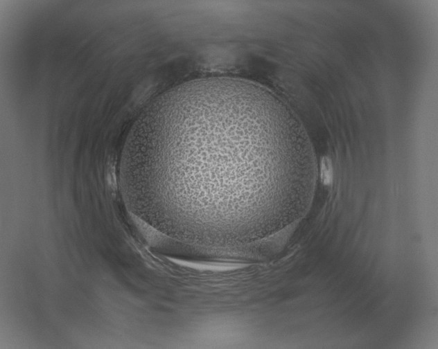 X0000062801155200512290241