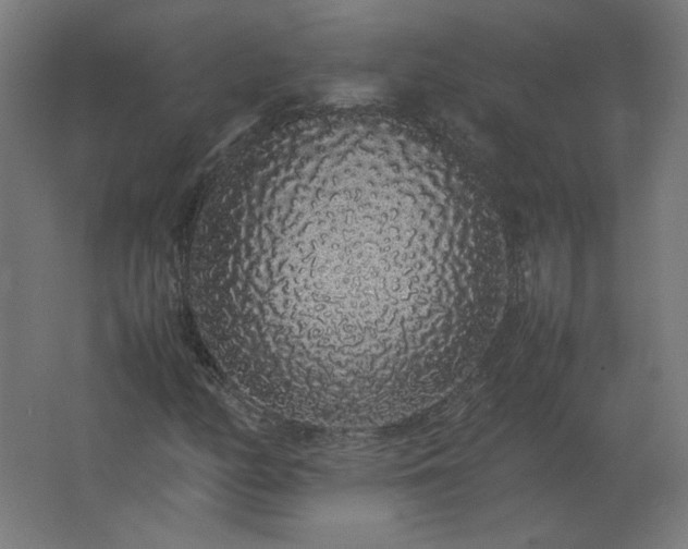 X0000062801158200512290241