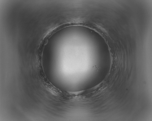 X0000062801160200512290241