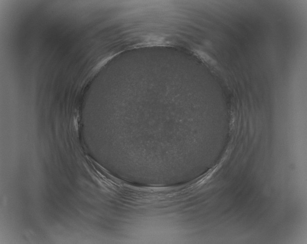 X0000062801161200512290241