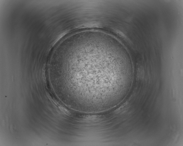 X0000062801162200512290241