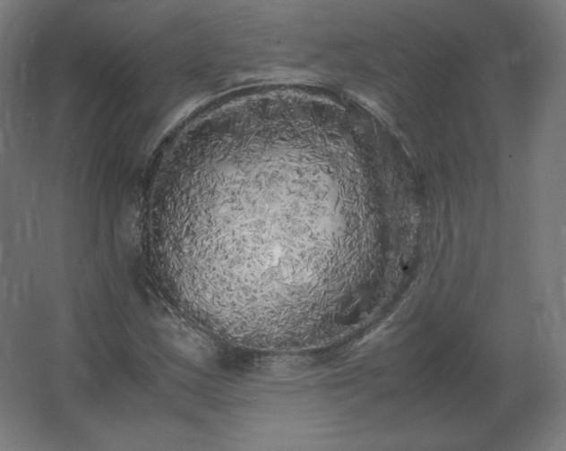 X0000062801163200512290241