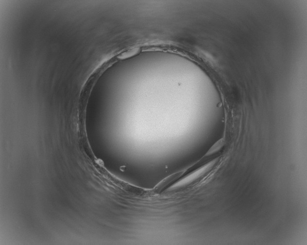 X0000062801165200512290241