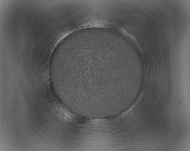 X0000062801166200512290241