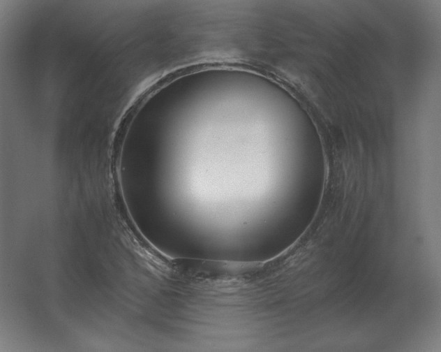 X0000062801168200512290241