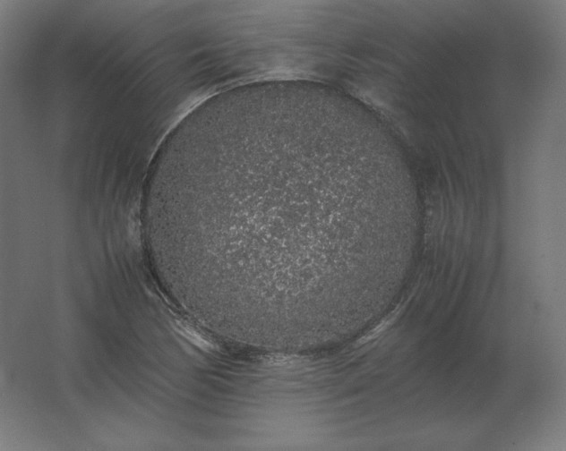 X0000062801170200512290241