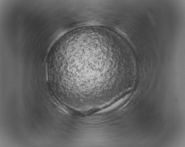X0000062801171200512290241