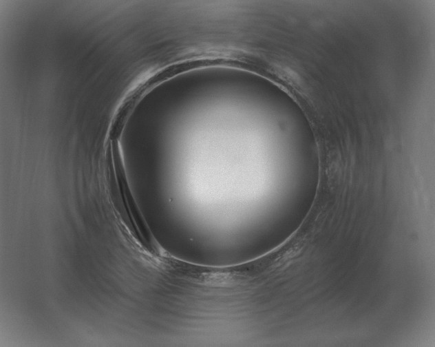 X0000062801172200512290241