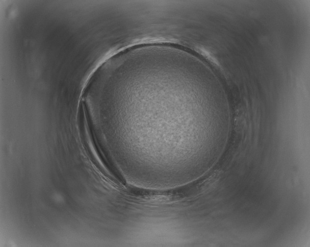 X0000062801173200512290241