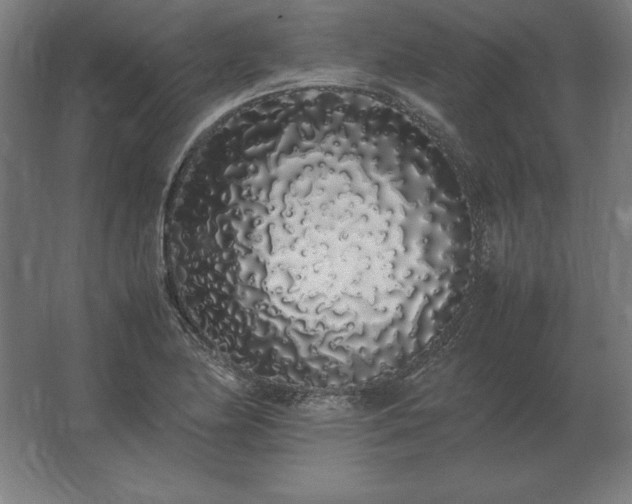 X0000062801174200512290241