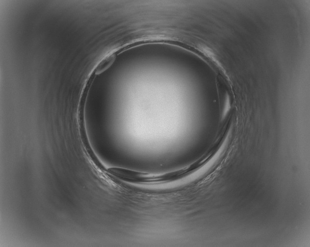 X0000062801181200512290241