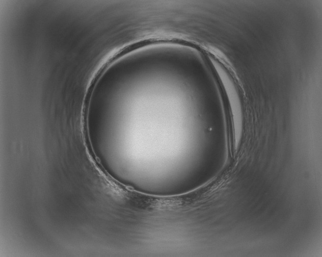 X0000062801183200512290241