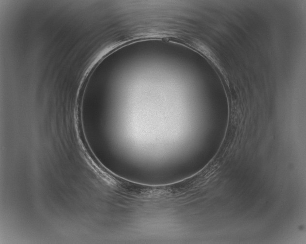X0000062801187200512290240