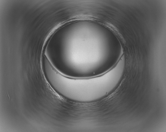 X0000062801188200512290240