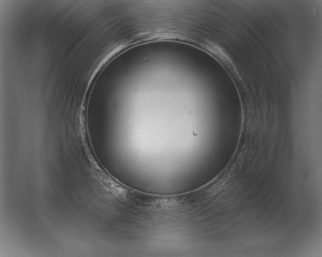 X0000062801190200512290240