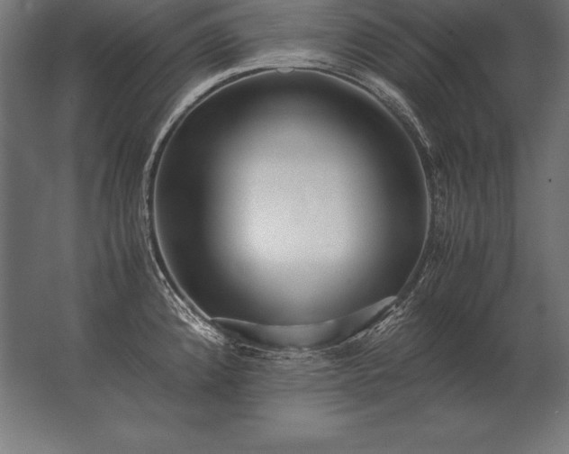 X0000062801192200512290240