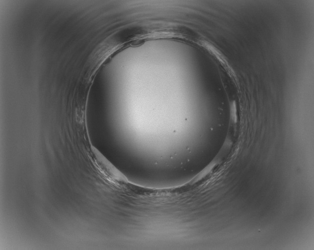X0000062801193200512290240