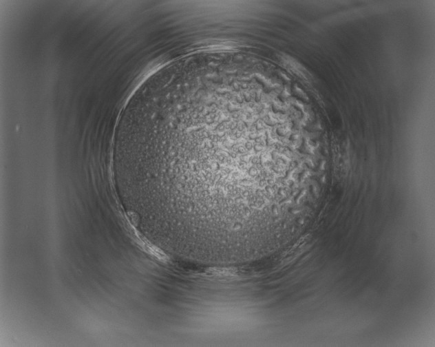 X0000062801194200512290240