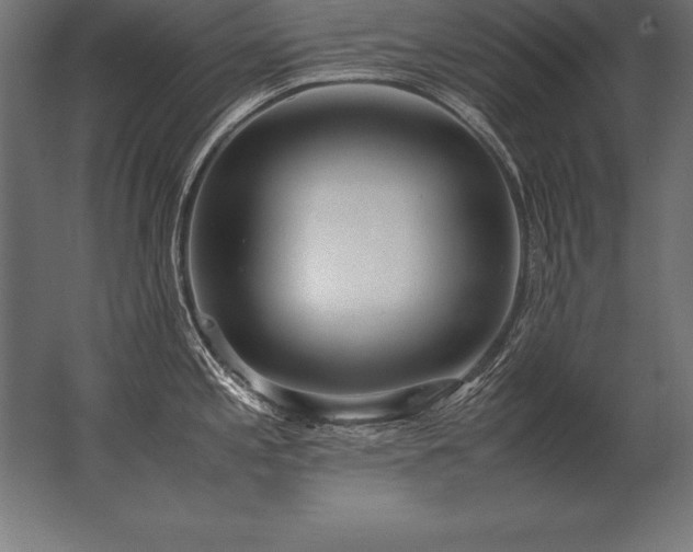 X0000062801197200512290240