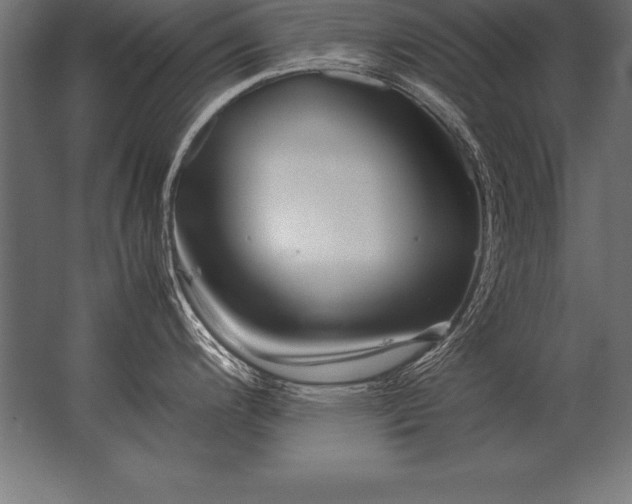 X0000062801200200512290240