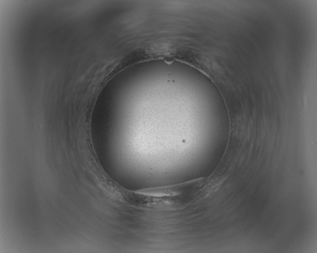 X0000062801201200512290239