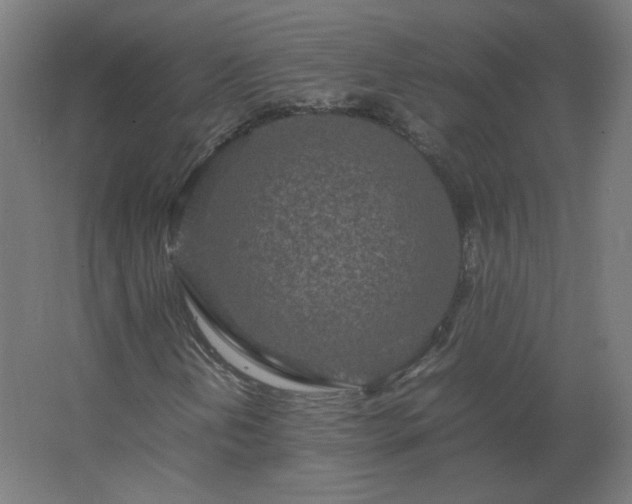 X0000062801202200512290239