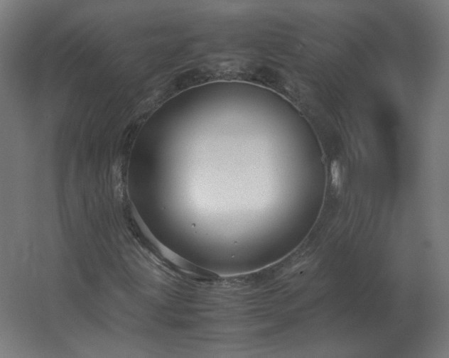 X0000062801203200512290239