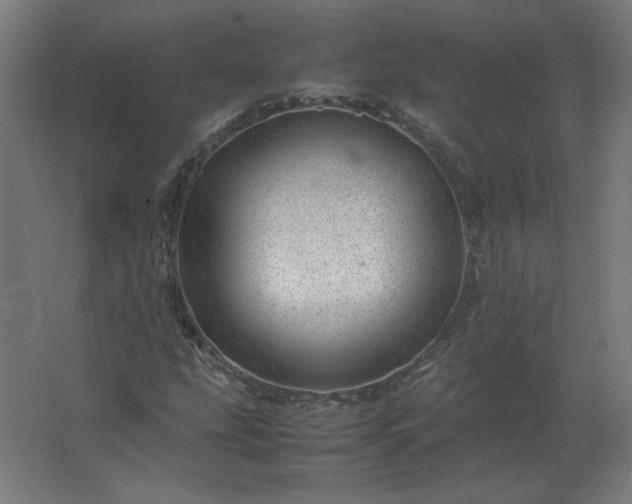 X0000062801207200512290240