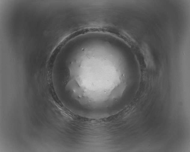 X0000062801208200512290240