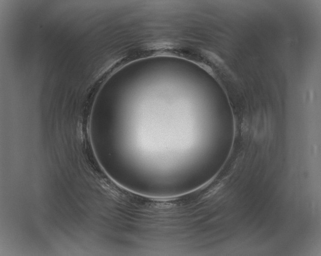 X0000062801209200512290240