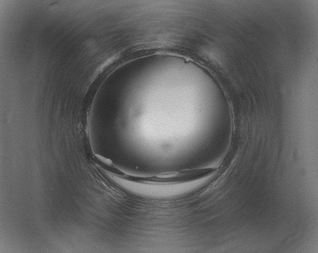 X0000062801210200512290240