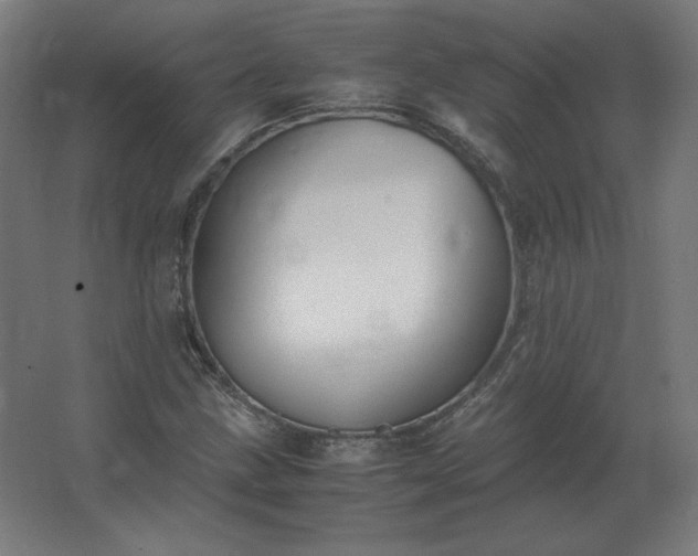 X0000062801211200512290240