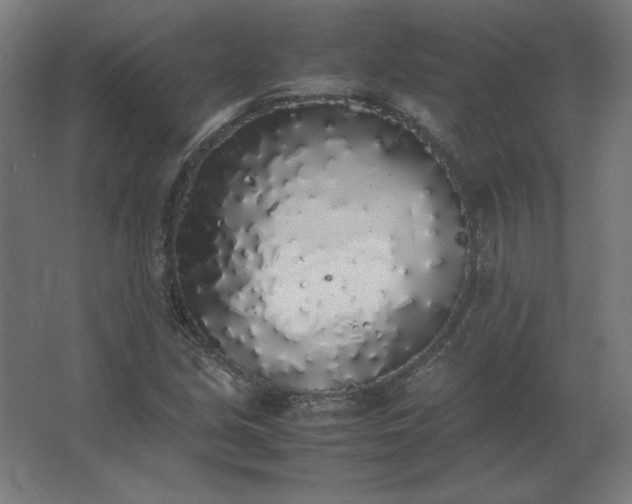 X0000062801213200512290240