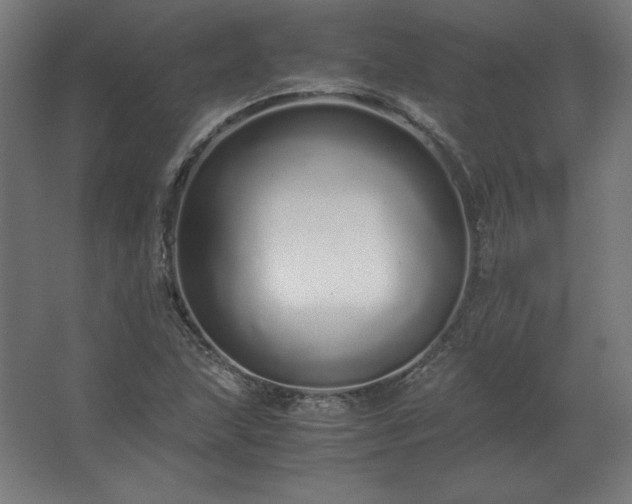 X0000062801215200512290240