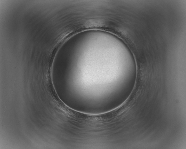 X0000062801217200512290240