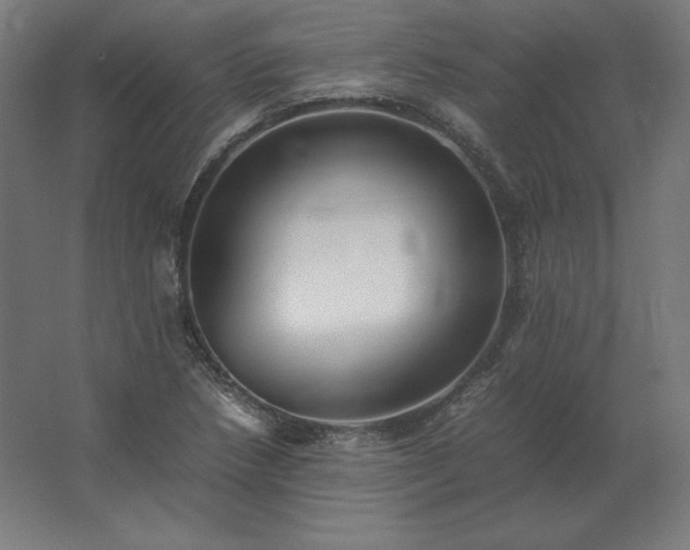 X0000062801218200512290240