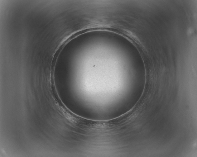 X0000062801220200512290240