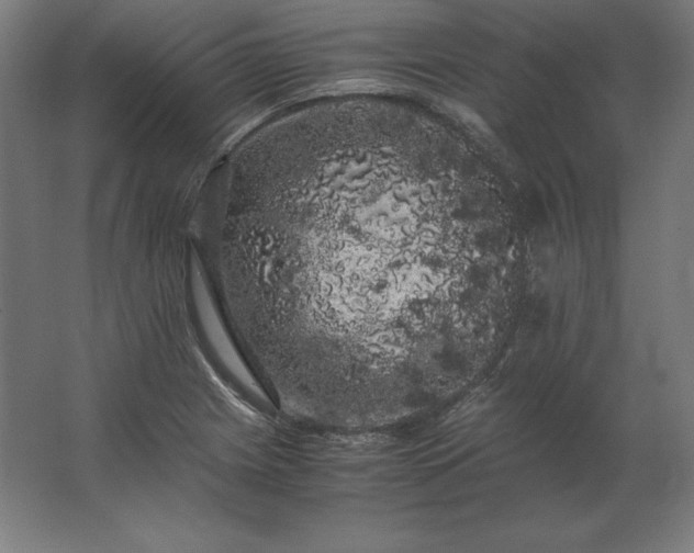X0000062801225200512290240