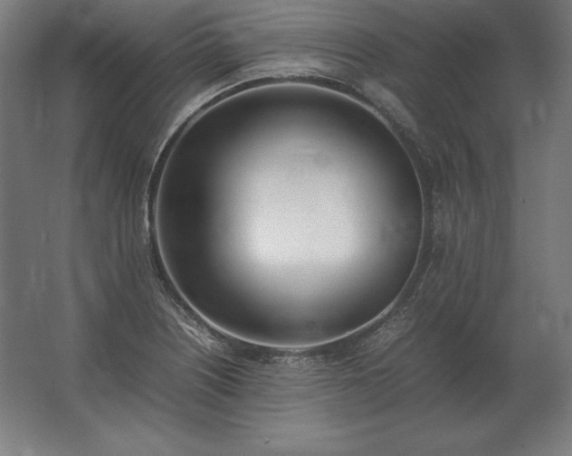 X0000062801226200512290240