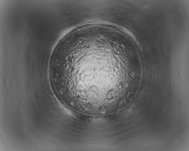 X0000062801231200512290240