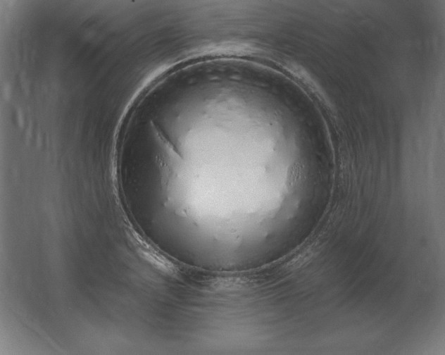 X0000062801232200512290240