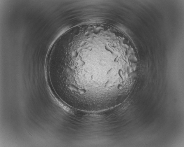 X0000062801235200512290240