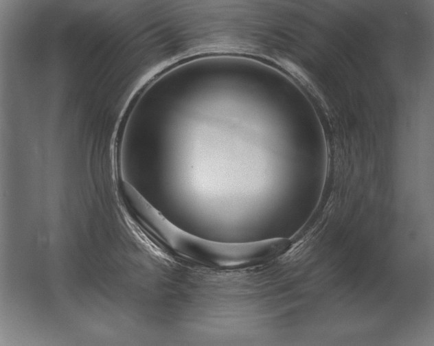 X0000062801238200512290240